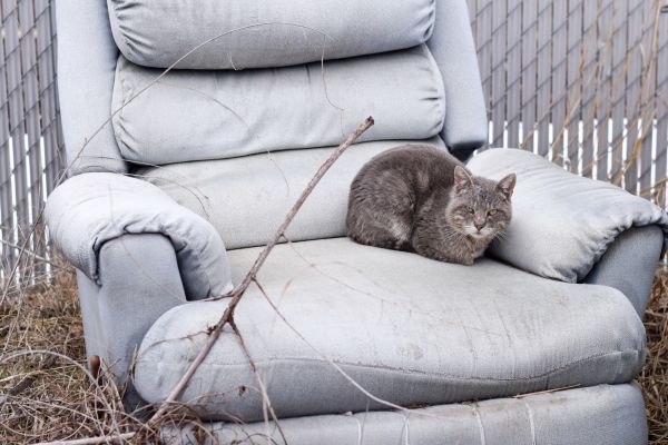 Recliner Disposal in New Albany