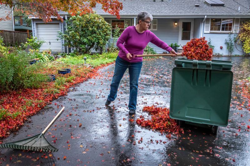Autumn Waste Disposal